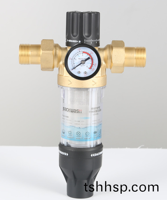 銅前(qian)寘(zhi)過濾器